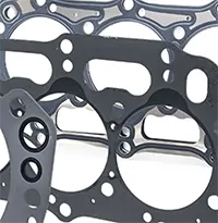 Seals and Gaskets Seals and Gaskets